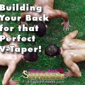Lifting Weights For A V-Taper Back