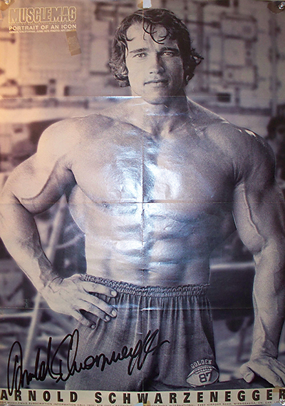 Arnold Schwarzenegger's Workout Wasn't For Wimps - Is Yours?