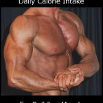 Nutrition for Lifting Weights - Daily Calorie Intake